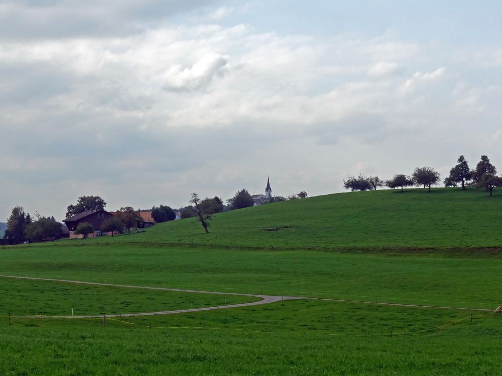 Blick Richtung St. Pelagiberg