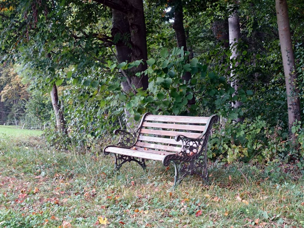 Sitzbank bei Oberbleichenbach