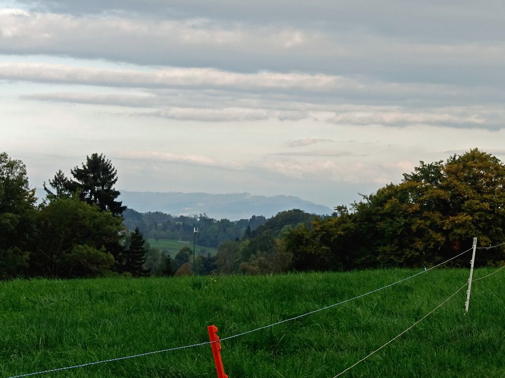 Blick Richtung Pfänder