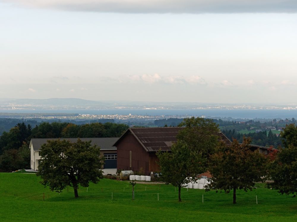 Blick zum Bodensee