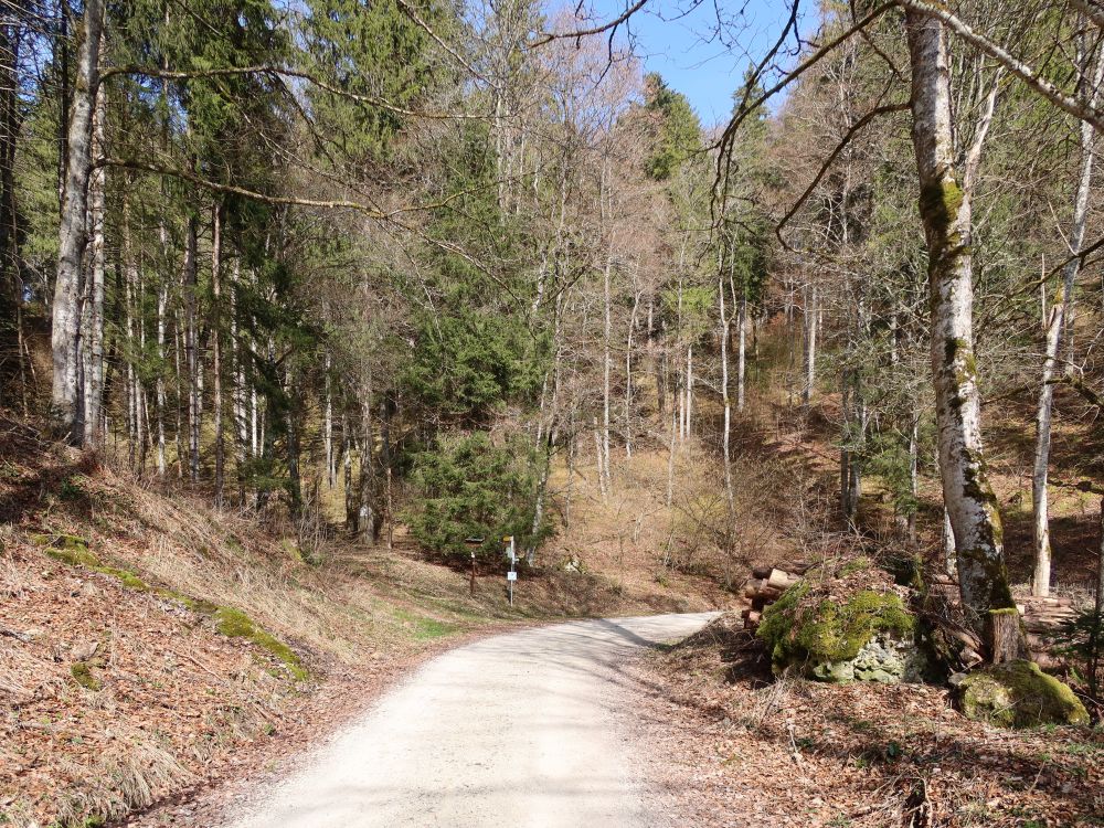 Waldweg