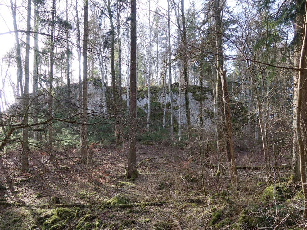 Felswand im Wald