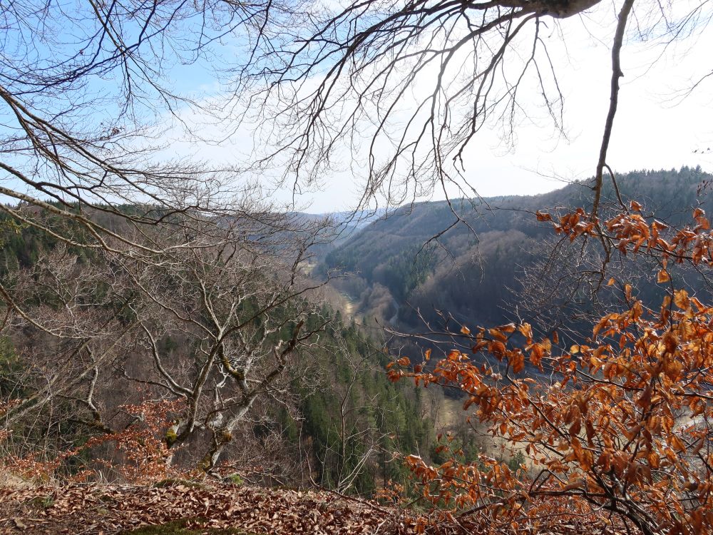 Blick in Lippachtal