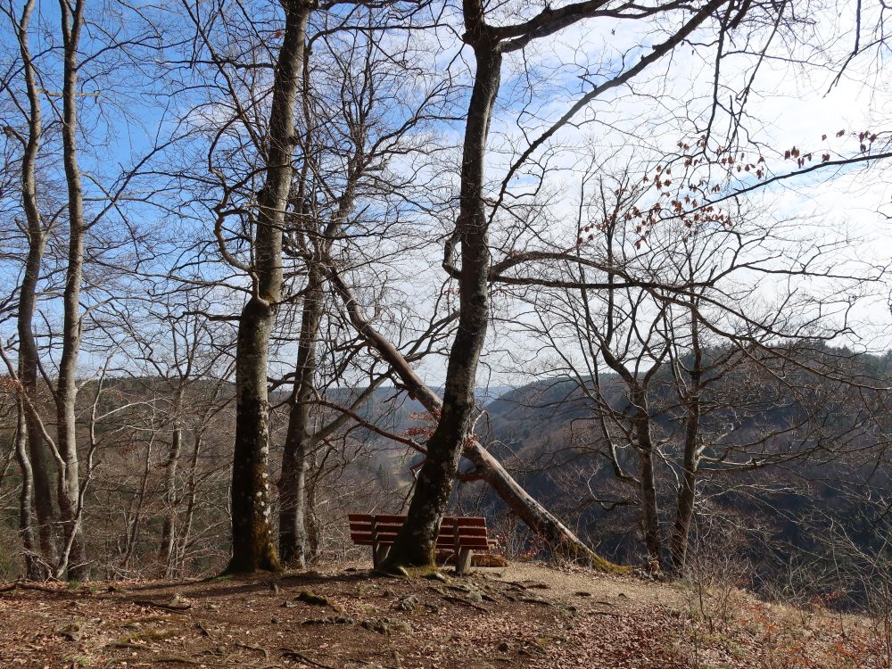 Blick in Lippachtal