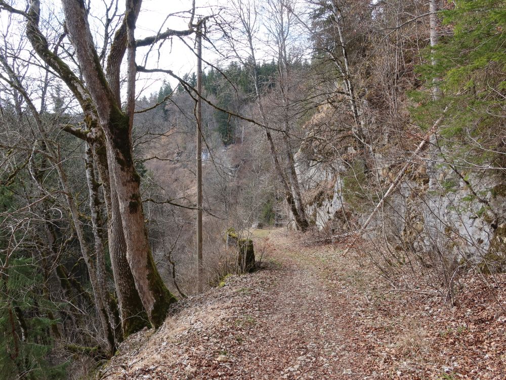 Weg ins Schäfertal