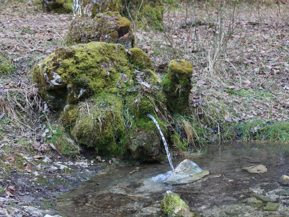 Grauentalquelle