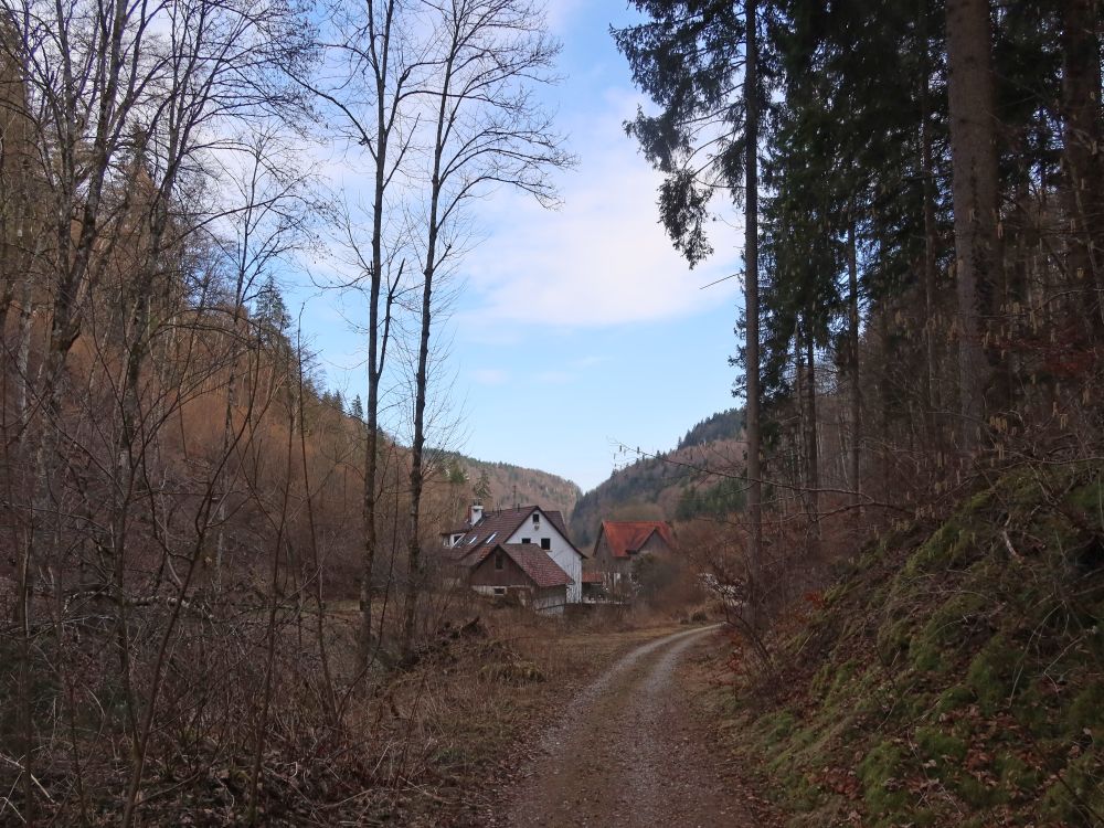 Lippachölmühle