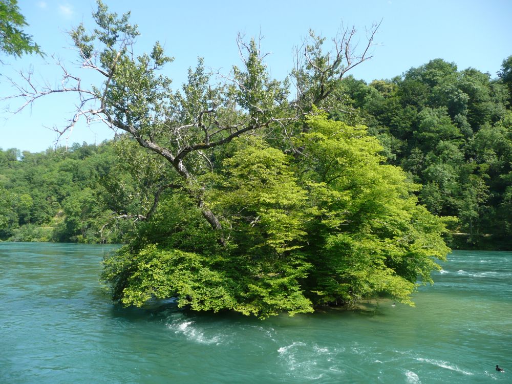 kleine Rheininsel