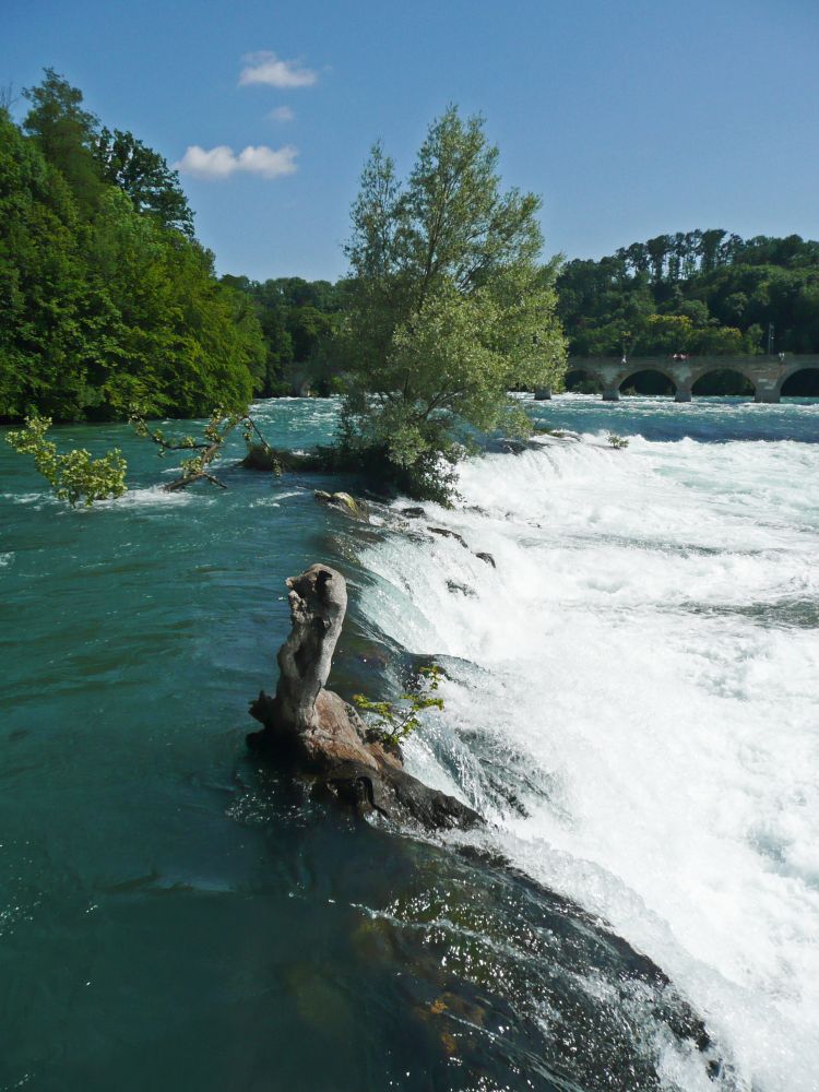 oberhalb des Rheinfalls