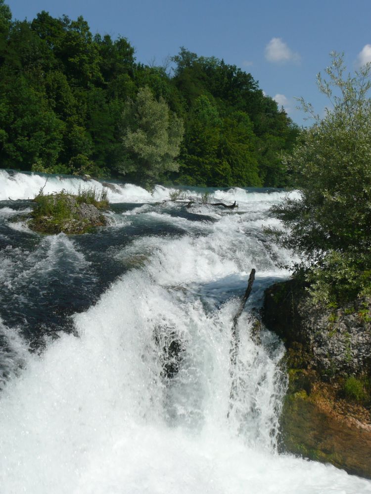oberhalb des Rheinfalls