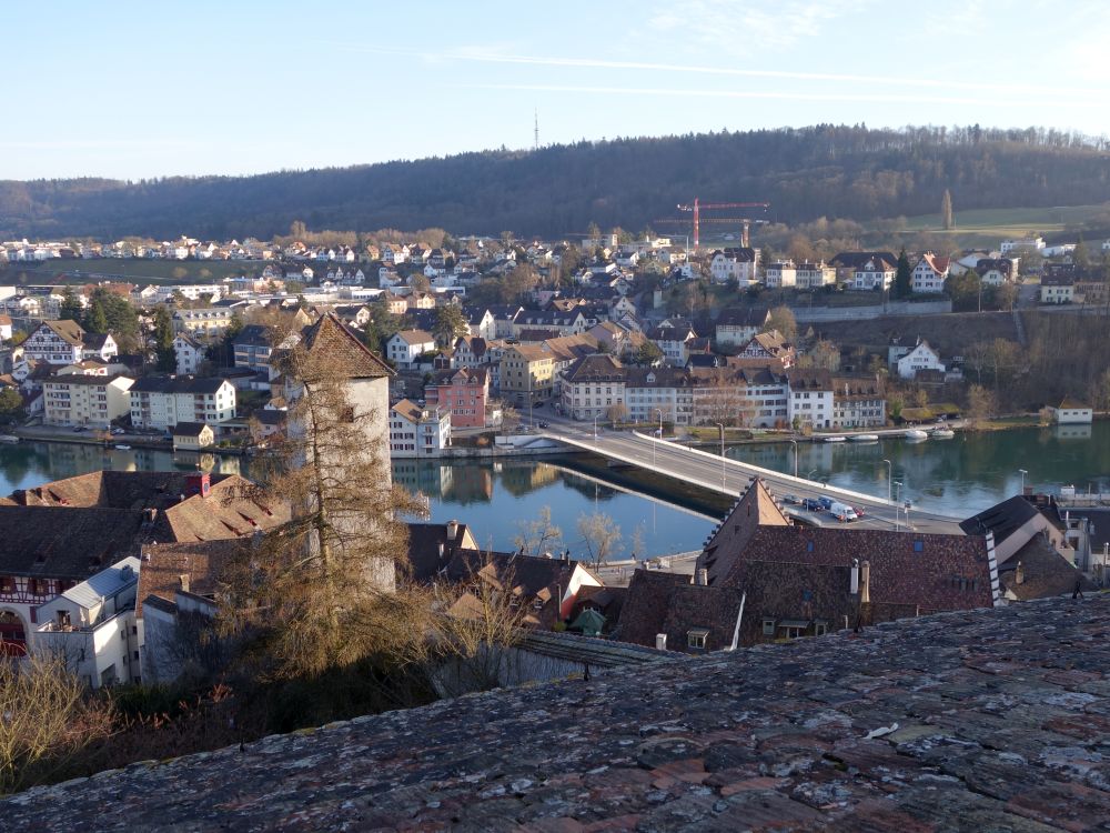 Rheinbrücke und Feuerthalen