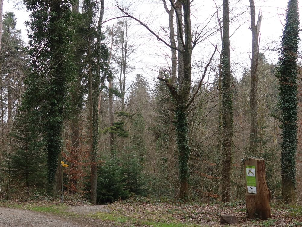 Wanderwegweiser und Infotafel