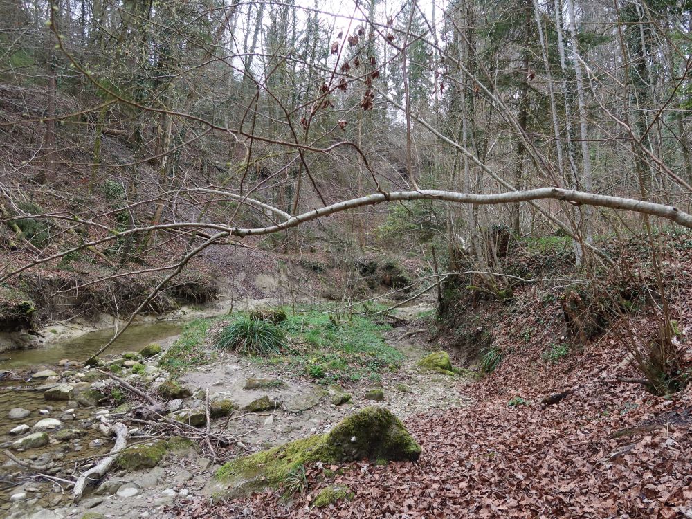 Stichbach