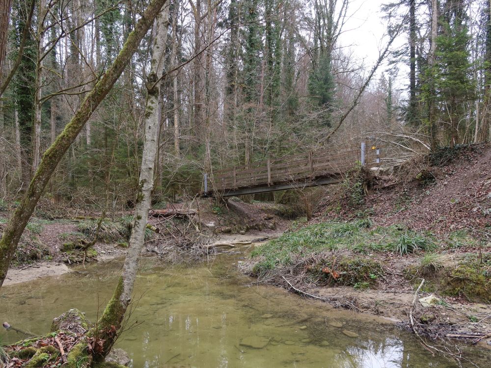 Steg übern Stichbach