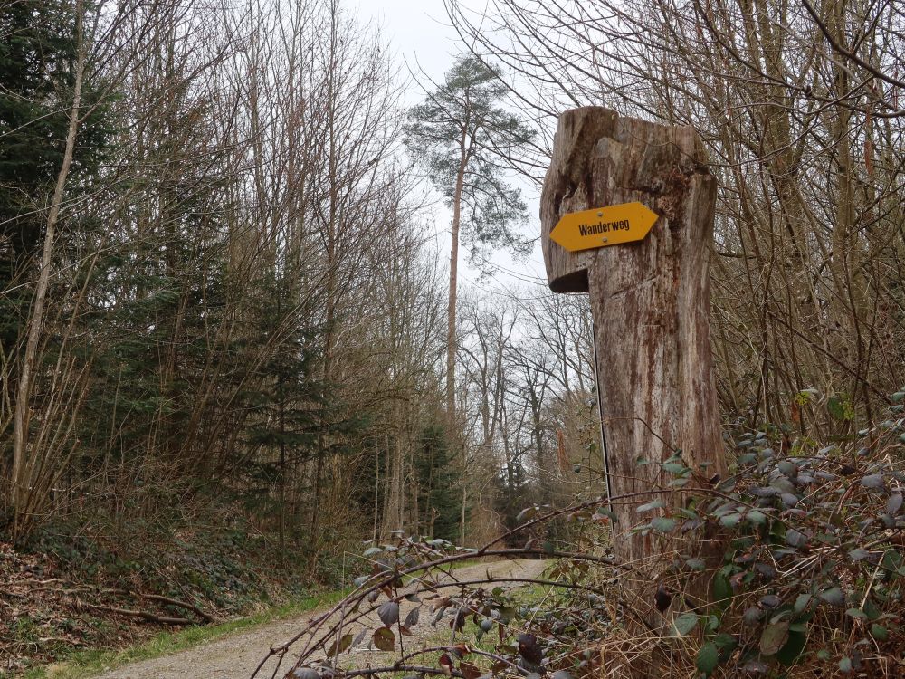 Wanderwegmarkierung