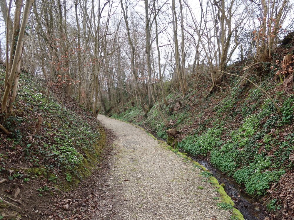 Schrofetobelweg