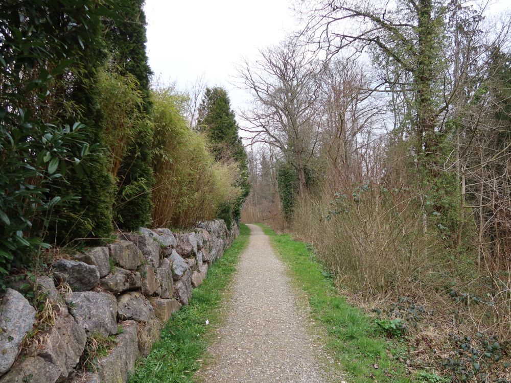 Weg im Besmertobel