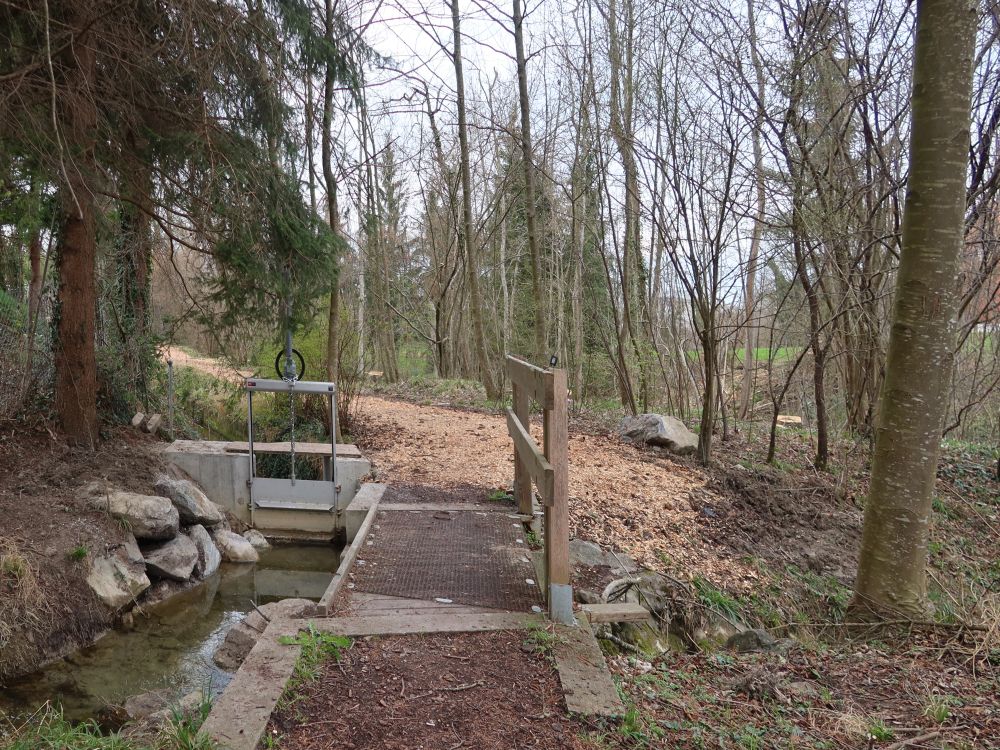Pfad am Stichbach