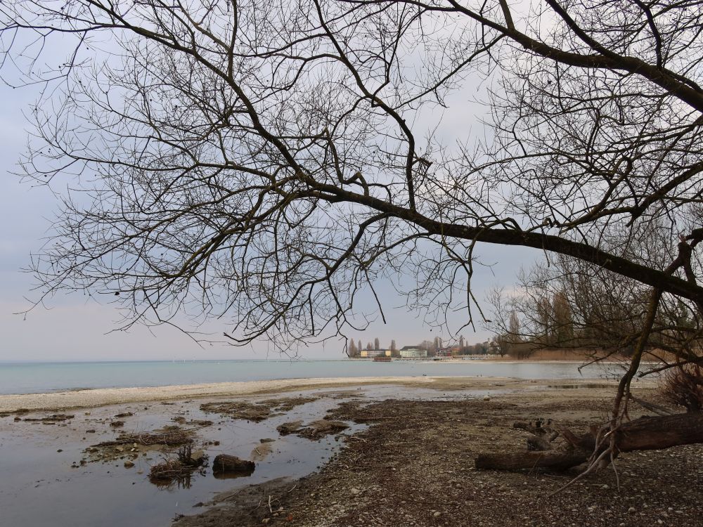 Seeufer bei Seehalde