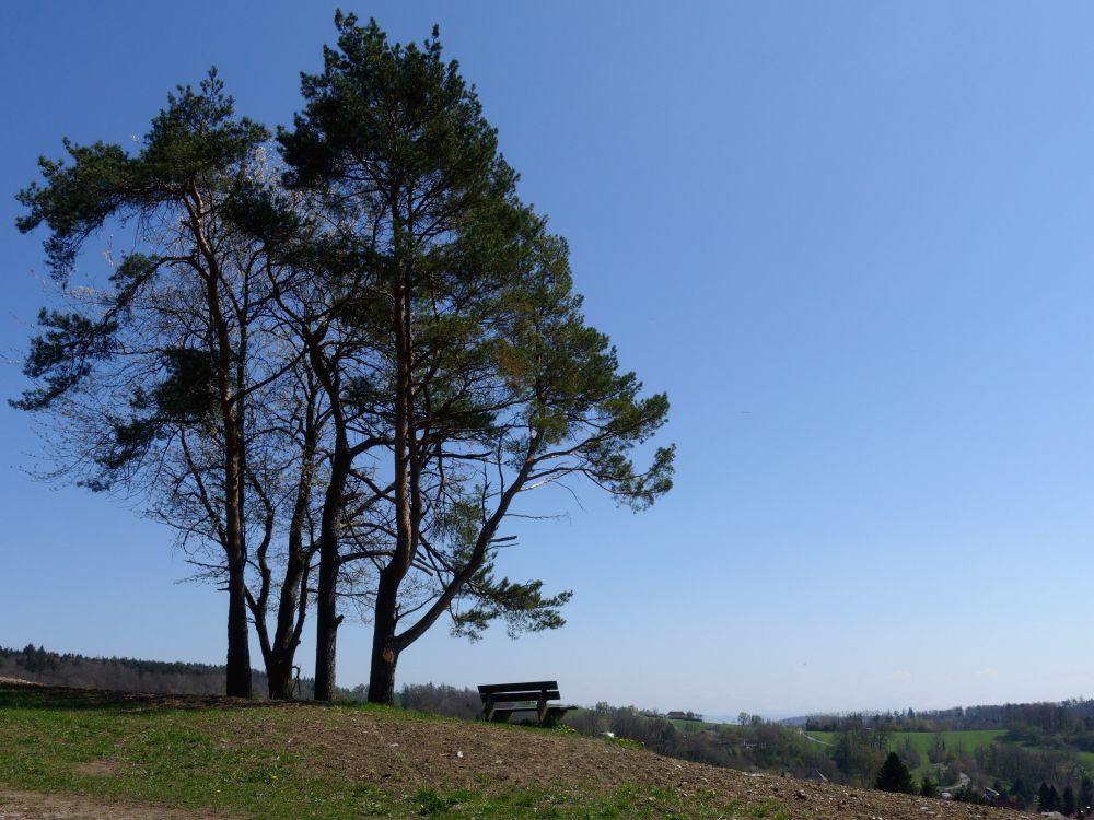 Aussichtspunkt über Schienen