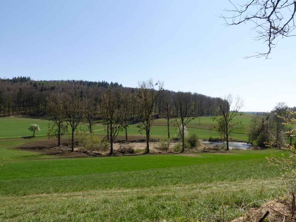 Teich bei Bühlarz