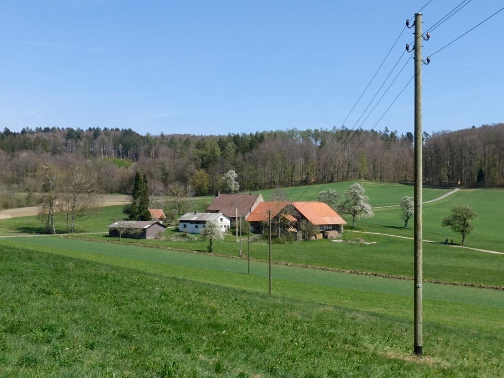 Bühlarz