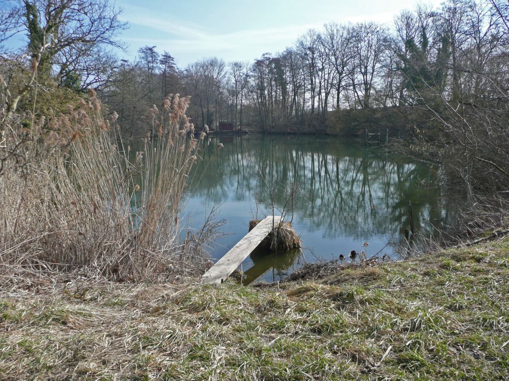 Oberer Müliweier