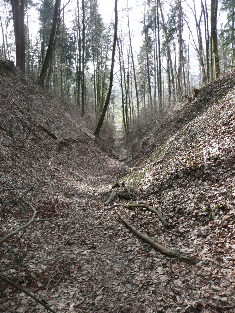 Hohlweg zwischen Hohenklingen und Stein