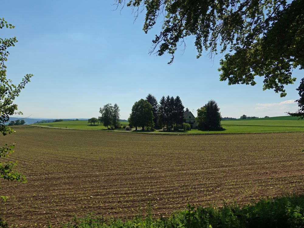 Landgasthof Schienerberg