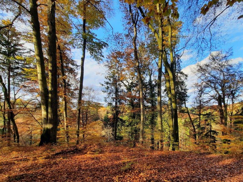 Herbstfarben