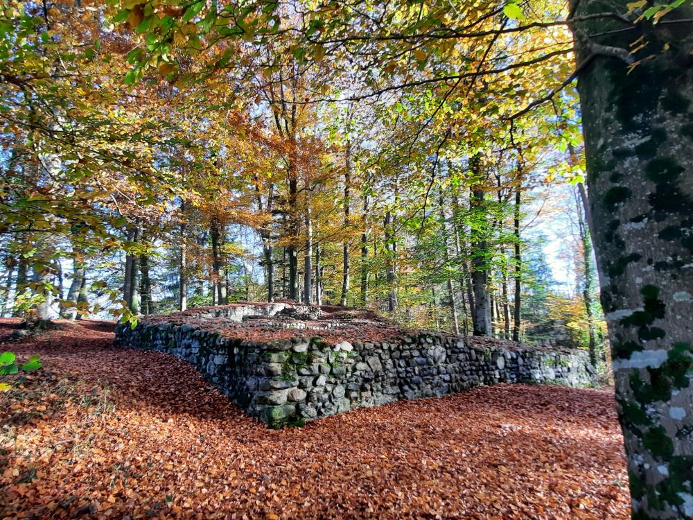 Ruine Schleifenrain