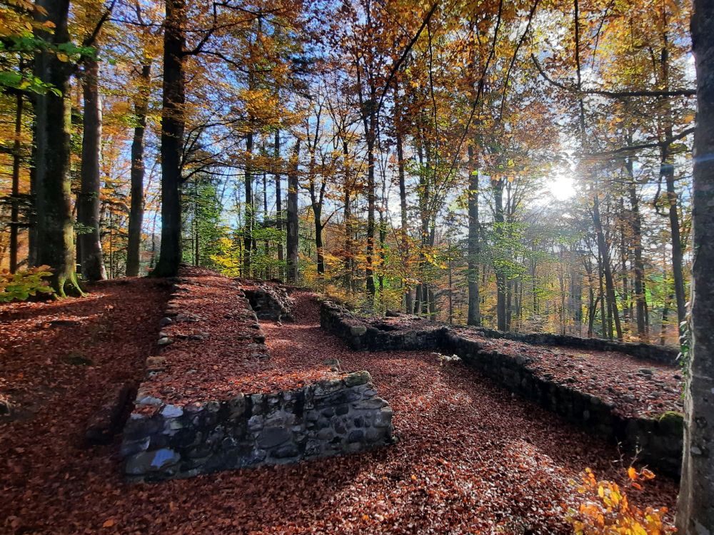 Ruine Schleifenrain