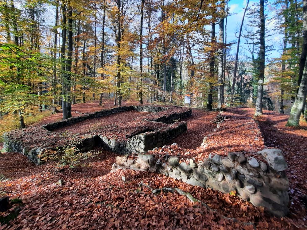 Ruine Schleifenrain