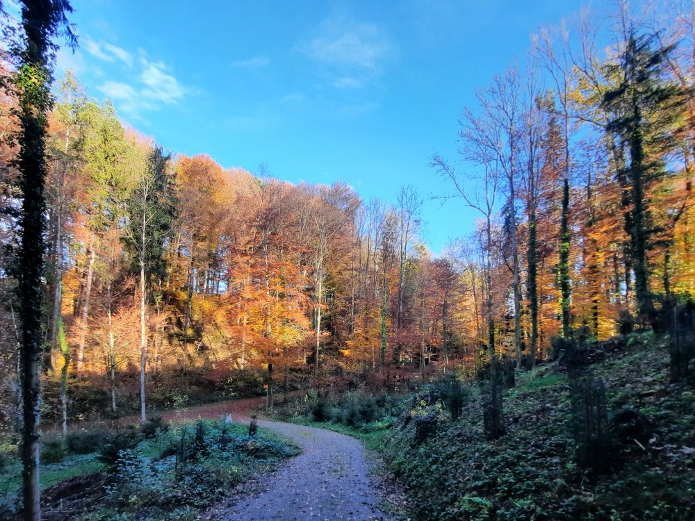 Weggabelung unterm Burgstogg