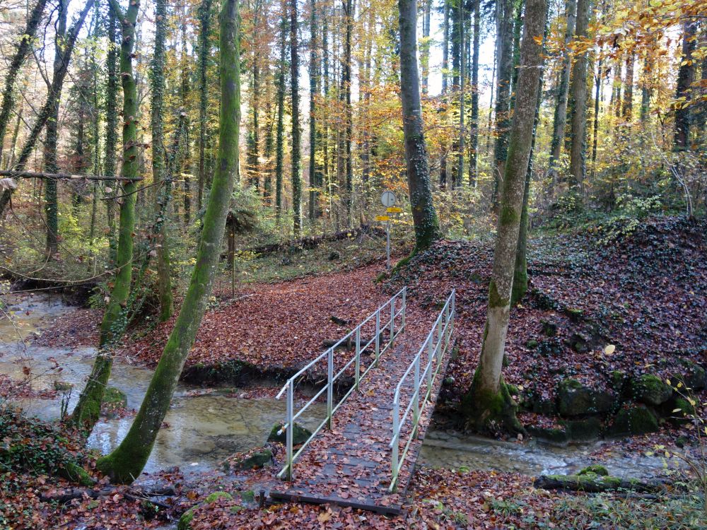 Steg über den Laubbach