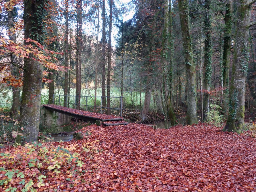 Steg über den Chemebach