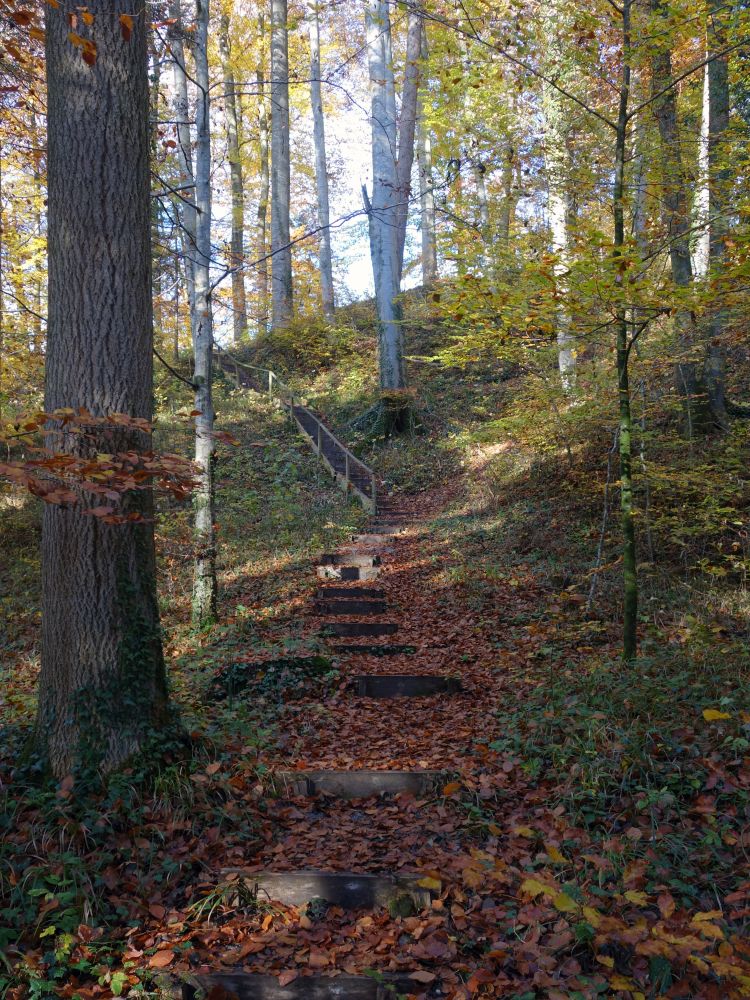 Treppe zur Ruine Schleifenrain