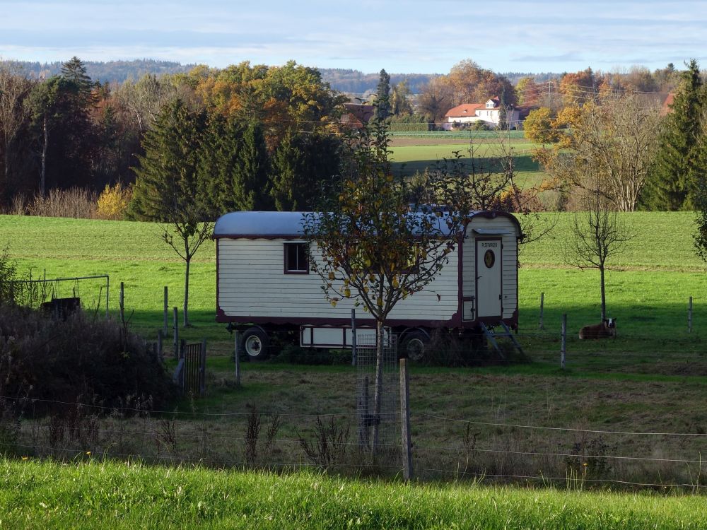 Bauwagen bei Riet