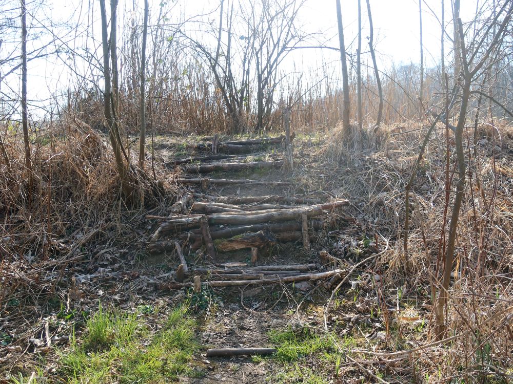 Treppe