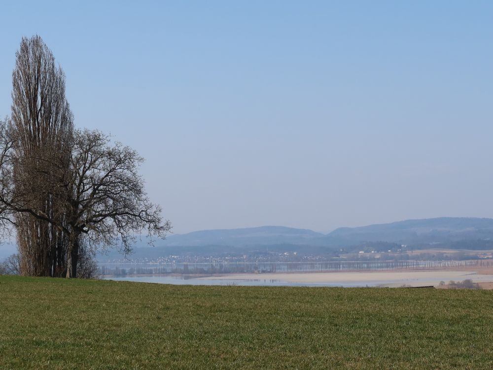 Alleestrasse zur Reichenau