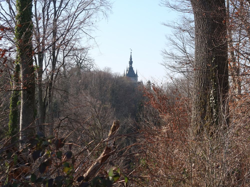 Turmspitze Schloss Castell