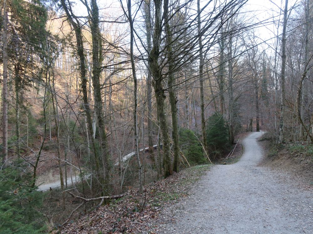 Schlossbüel