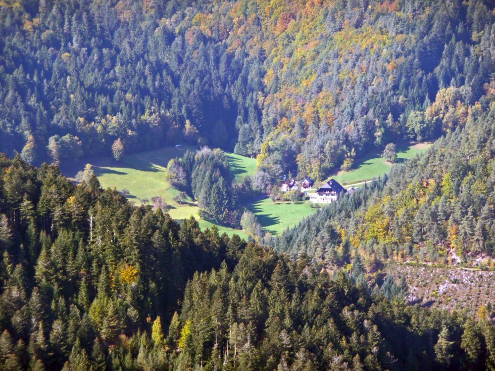 Waldlichtung mit Bauernhof