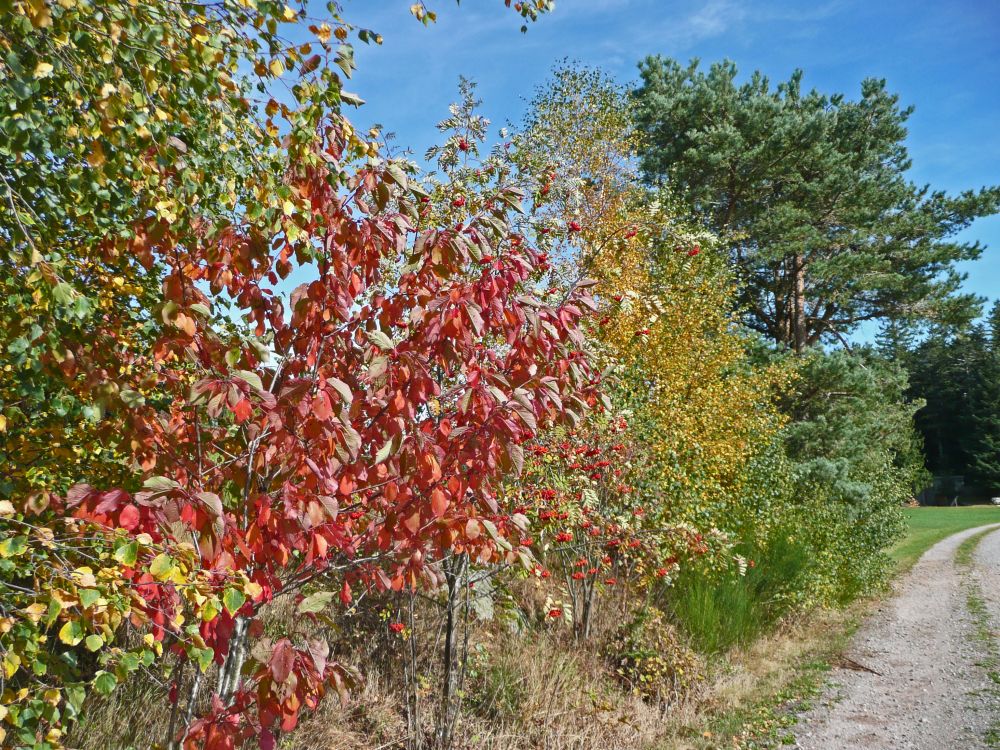 Herbstfarben