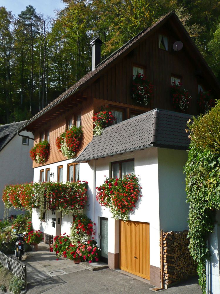 Blumengeschmcktes Haus