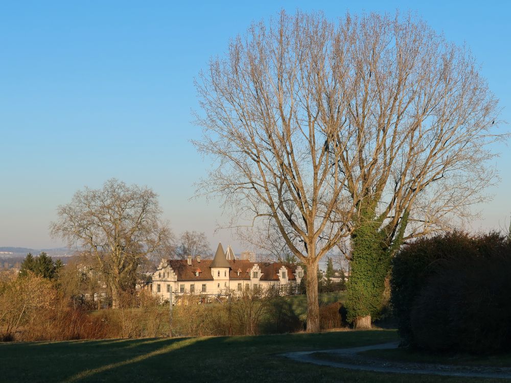 Schloss Brunnegg