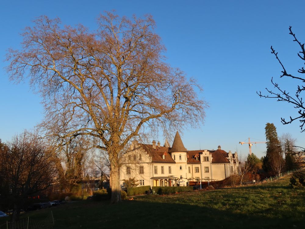 Schloss Brunnegg