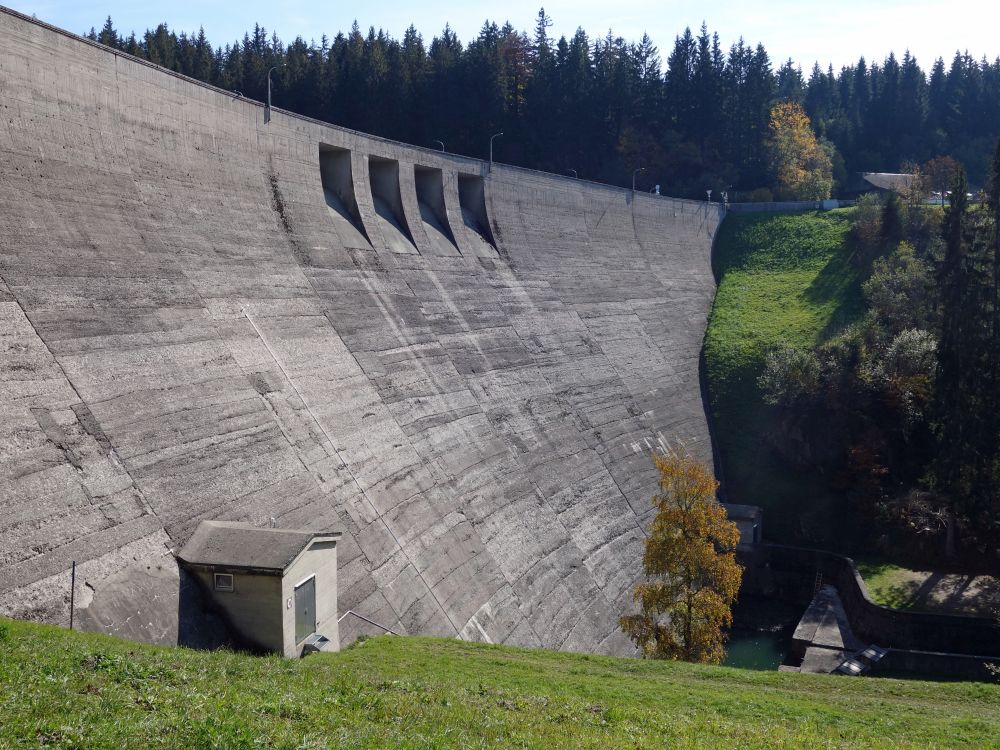 Staumauer Schluchsee