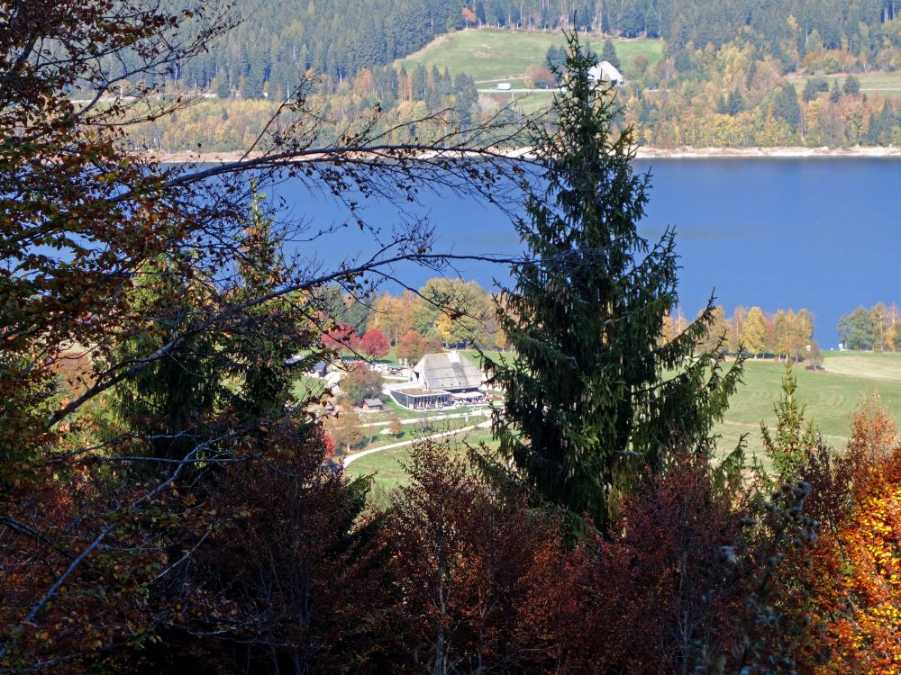 Blick auf den Schluchsee