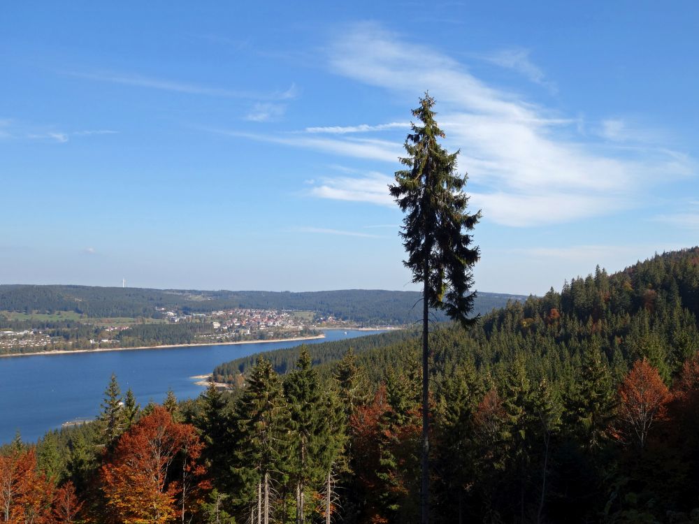 Blick auf den Schluchsee